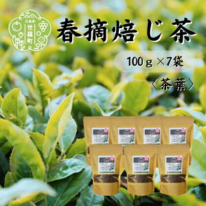 【ふるさと納税】春摘焙じ茶 100g×7袋 世羅茶 ほうじ茶 お茶 茶葉 健康茶 A030-09