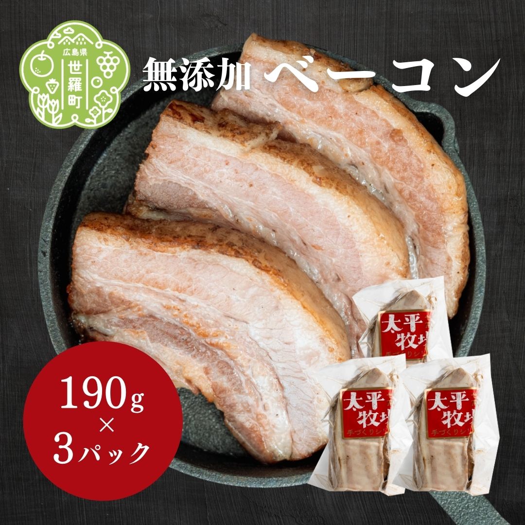 【ふるさと納税】特製ベーコン ブロック(190g×3パック) 無添加 無着色 国産 ベーコン ブロック 数量限定 A035‐02