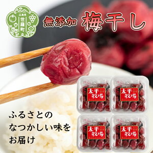 【ふるさと納税】無添加梅干し 4個セット(180g×4) 無添加 無農薬 昔ながらのすっぱい しそ梅 数量限定 A035‐03