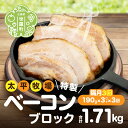 【ふるさと納税】【定期便3回】特製ベーコン ブロック(190g×3パック)《隔月 合計3回発送》 無着色 国産 ベーコン ブロック 数量限定 A035‐09(4)