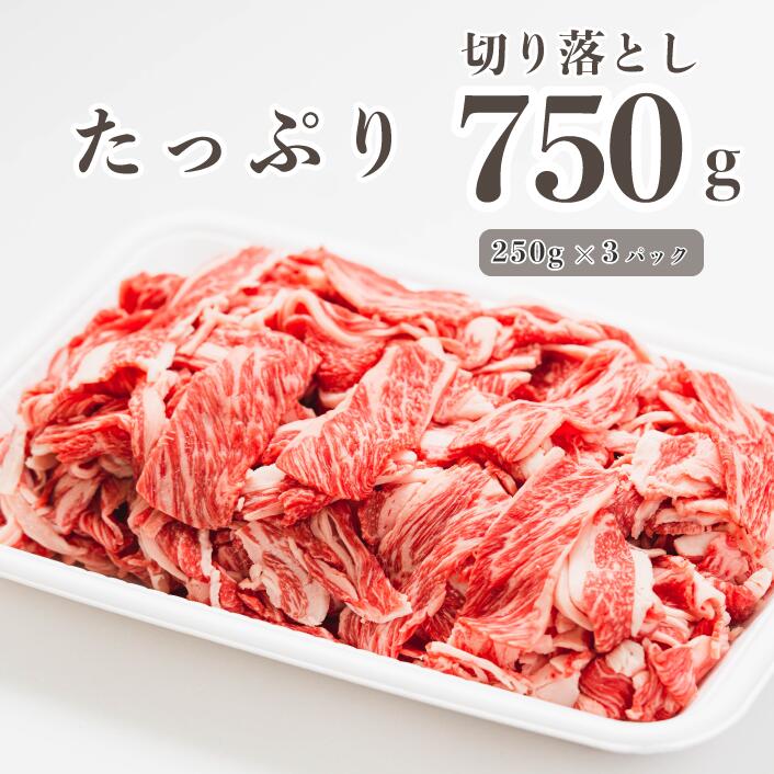 【ふるさと納税】広島県産「世羅みのり牛」切り落とし 合計750g(250g×3パック) 国産牛 牛肉 お肉 小分け スライス 肉じゃが 冷凍 送料無料 A038-01