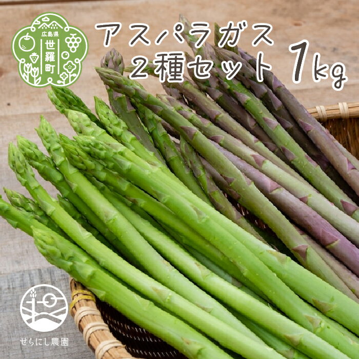 アスパラガス 2種セット 合計1kg(グリーンアスパラガス 600g・パープルアスパラガス 400g)アスパラ 野菜 産地直送 新鮮 世羅 A039-01