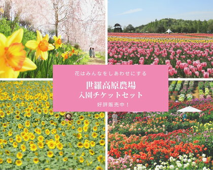 花畑入園ペアチケット《世羅高原農場》しだれ桜 チューリップ ひまわり ダリア ガーデンマム 観光 農園 A041-09