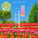 【ふるさと納税】花畑入園チケット 4枚《世羅高原農場》しだれ桜 チューリップ ひまわり ダリア ガーデンマム 観光 農園 A041-10