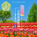 【ふるさと納税】花畑入園チケット 6枚《世羅高原農場》しだれ桜 チューリップ ひまわり ダリア ガーデンマム 観光 農園 A041-11