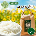 【ふるさと納税】米 令和7年 コシヒカリ 5kg【白米】新米 ごはん 精米 お米 ご飯 おにぎり お弁当 こしひかり 世羅米 世羅産 世羅町産 A041-17
