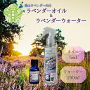 【ふるさと納税】ラベンダー精油(5ml)＆ラベンダーウォーター(150ml)セット フローラル系 ラベンダーオイル エッセンシャルオイル ハーブウォーター ハーブスプレー A051‐06