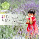 【ふるさと納税】年間パスポート2枚《香山ラベンダーの丘》ポピー ラベンダー コスモス ハーブ 年パス 観光 農園 A051-08