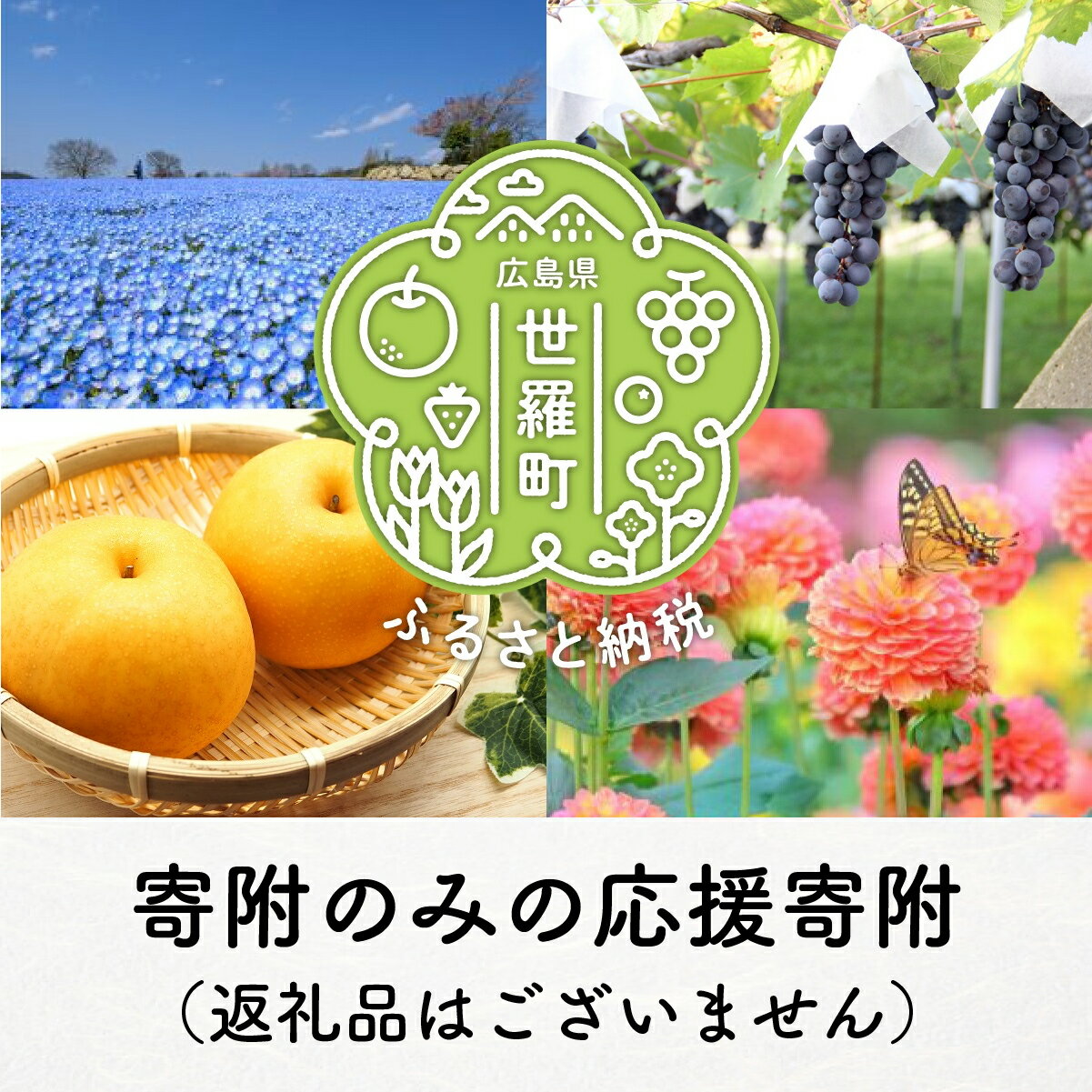 世羅町への寄附 (返礼品はありません) 1000円〜10000円 広島県 世羅町 返礼品なし 1口 千円 A101-14