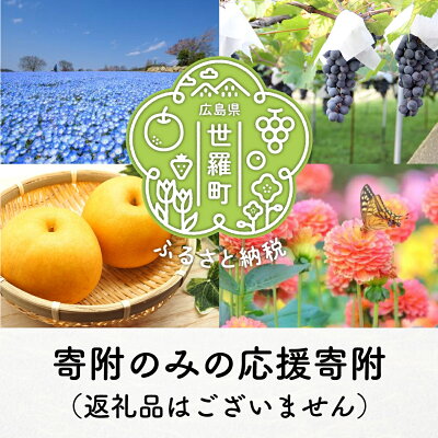 楽天ふるさと納税　【ふるさと納税】世羅町への寄附 (返礼品はありません) 1000円～10000円 広島県 世羅町 返礼品なし 1口 千円 A101-14