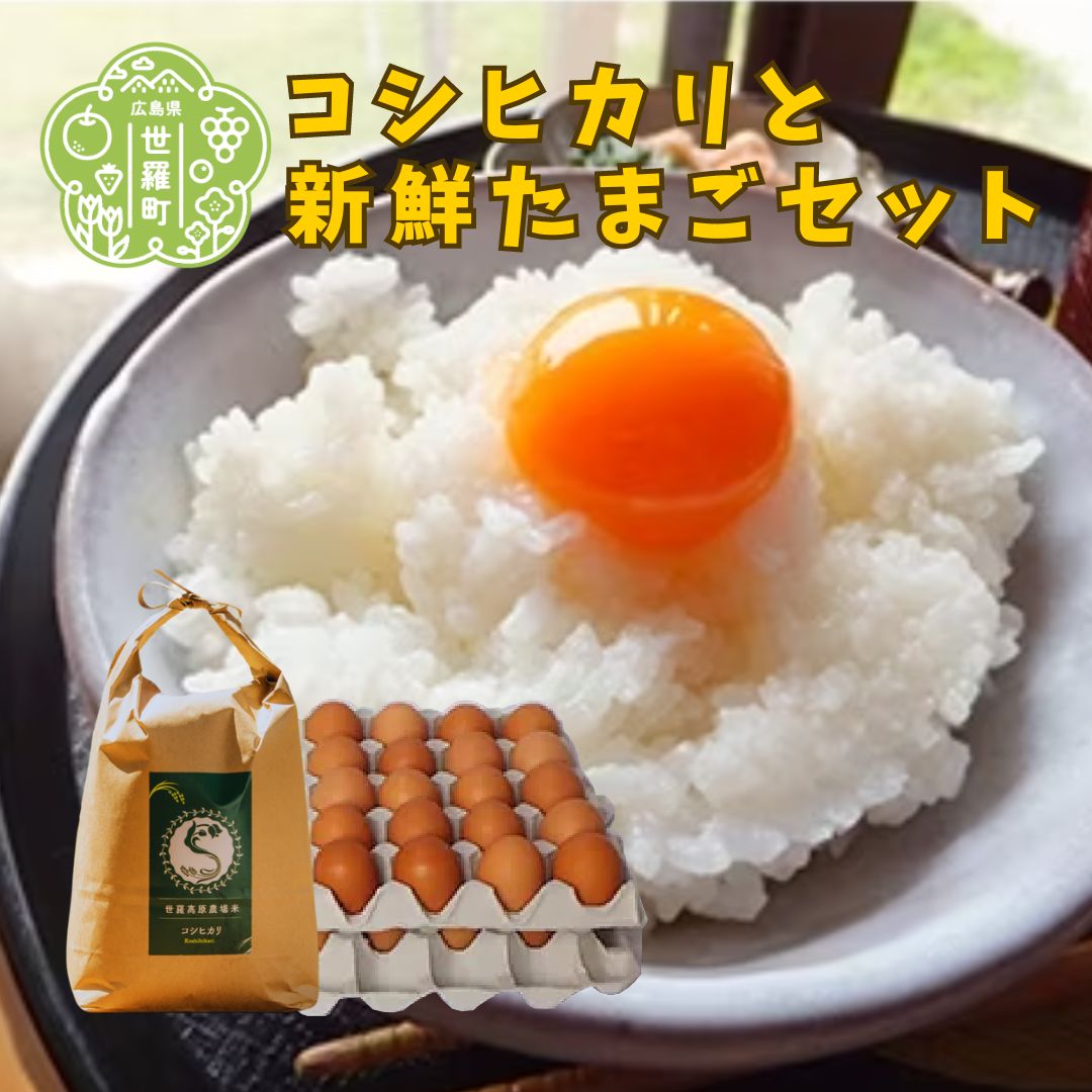 【令和5年産】コシヒカリと新鮮卵のセット 玉子 卵かけご飯 新米 精米 お米 こしひかり A102-06