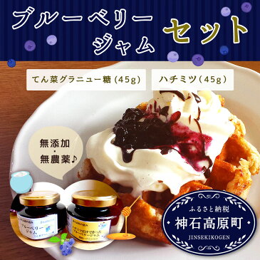 【ふるさと納税】ブルーベリージャム2個セット N-30A (ハチミツ45g・てん菜グラニュー糖45g) 送料無料 無農薬 化学肥料不使用 無添加 国産