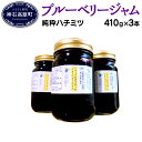 【ふるさと納税】ブルーベリー ジャム N-200C (純粋ハ...