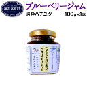 【ふるさと納税】ブルーベリー ジャム N-25C 純粋ハチミ...