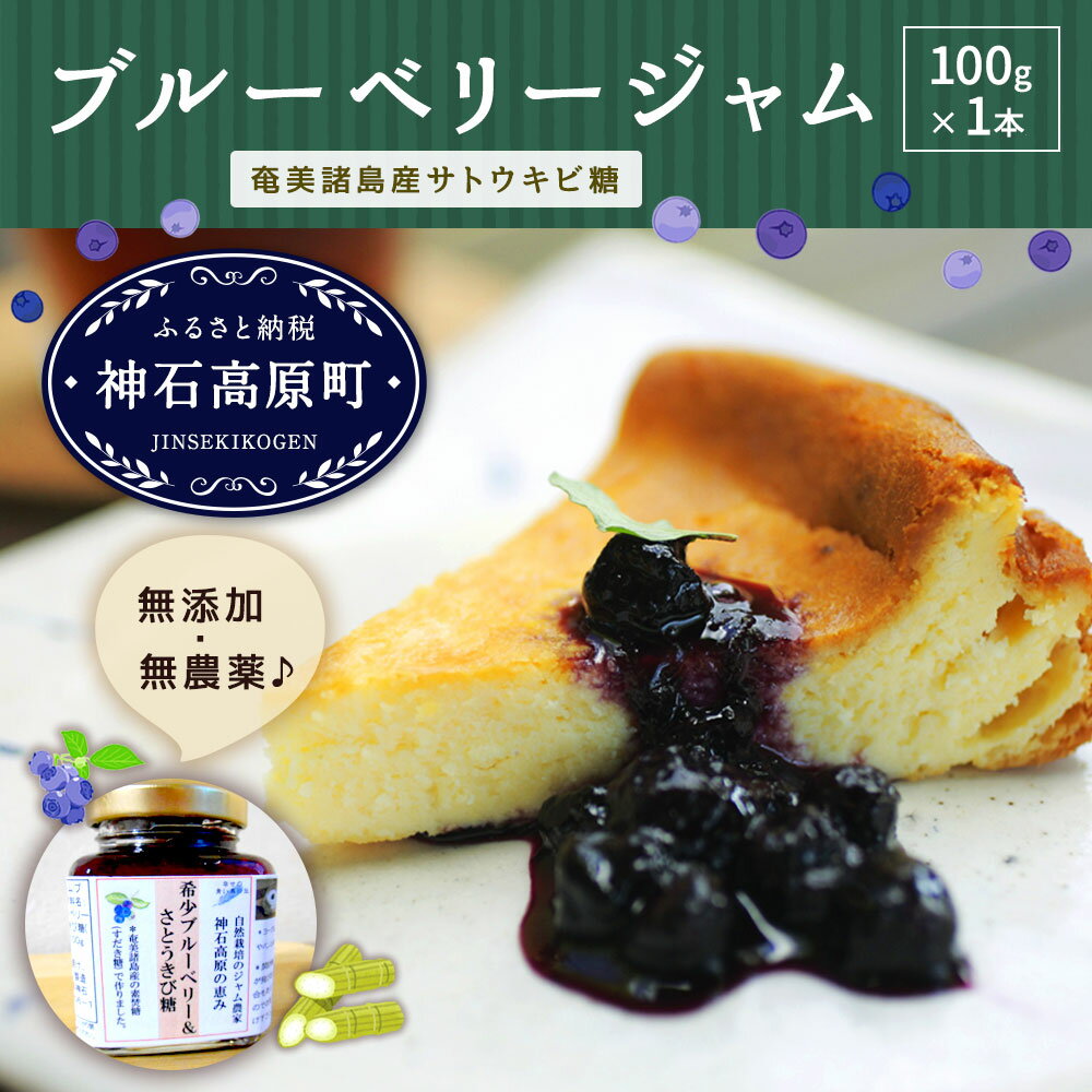 【ふるさと納税】ブルーベリー ジャム N-25D 奄美諸島産サトウキビ糖 100g×1本 無農薬 化学肥料不使用 無添加 国産 広島県産 送料無料が大人気返礼品になっている理由とは　ふるさと納税　人気　返礼品　ランキング