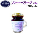 【ふるさと納税】ブルーベリー ジャム N-30F 100g×...