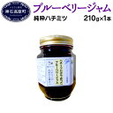 【ふるさと納税】ブルーベリー ジャム N-40D 純粋ハチミ...