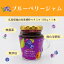 【ふるさと納税】ブルーベリー ジャム 広島県福山市産純粋ハチミツ 110g×1本/送料無料/国産