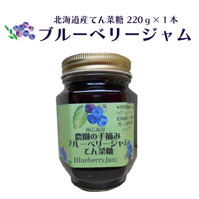 【ふるさと納税】ブルーベリー ジャム 北海道産てん菜 220g×1本 送料無料 無農薬 化学肥料不使用 無添加 広島県 神石高原町産 ジャム 高級 国産