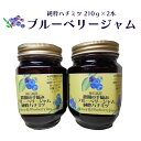 【ふるさと納税】ブルーベリーハニージャム210g×2本　送料無料/無農薬/化学肥料不使用/無添加/広島県神石高原町産