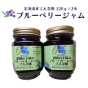 【ふるさと納税】ブルーベリー北海道産てん菜糖220g×2本 ...