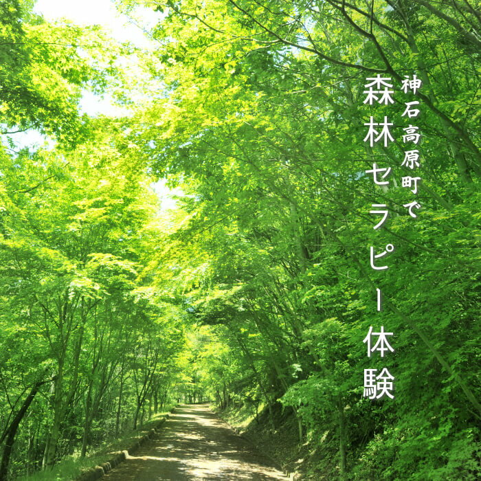 楽天広島県神石高原町【ふるさと納税】森林セラピー体験 神石高原町 広島県 6名まで 送料無料 ヘルスチェック 木漏れ日ロード 体験型返礼