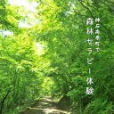 15位! 口コミ数「0件」評価「0」森林セラピー体験 神石高原町 広島県 6名まで 送料無料 ヘルスチェック 木漏れ日ロード 体験型返礼