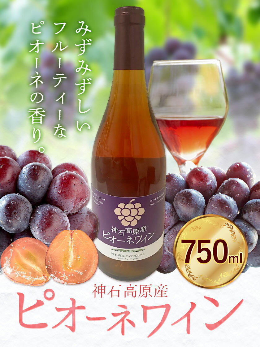 【ふるさと納税】ワイン ロゼワイン ピオーネワイン 神石高原産 750ml 株式会社 神石高原ティアガルテン《30日以内に出荷予定(土日祝除く) 》広島県 神石高原町 酒 洋酒 ワイン ピオーネ 果物 フルーツ ぶどう お酒 ロゼ お取り寄せ