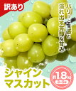 広島県神石高原町の画像2