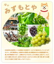 広島県神石高原町の画像3