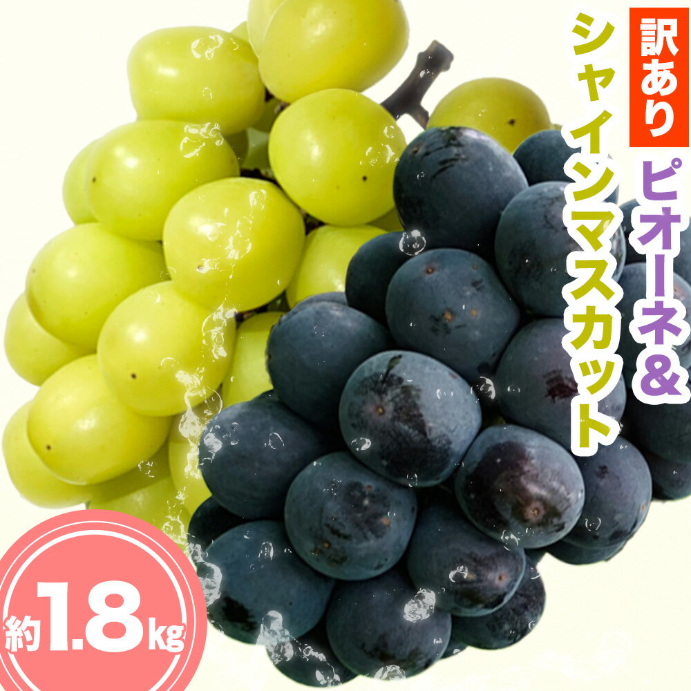 訳ありピオーネ&シャインマスカット 約1.8kg [9月中旬-10月上旬出荷予定(土日祝除く)]広島県 神石高原町 果物 フルーツ ぶどう シャインマスカット 訳あり 送料無料