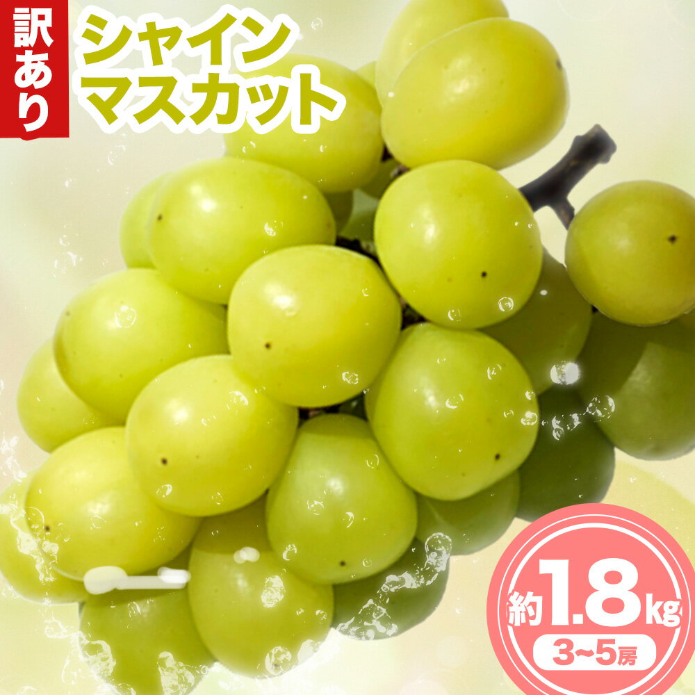 訳あり シャイン マスカット 約 1.8 kg [9月中旬-11月中旬出荷予定(土日祝除く)]広島県 神石高原町 果物 フルーツ ぶどう シャインマスカット 訳あり 送料無料