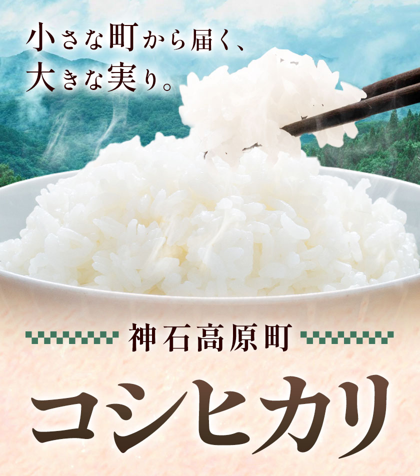 【ふるさと納税】神石高原町産 コシヒカリ 米 選べる 5kg 10kg 株式会社MSERRNT《寄附後2週間日以内に出荷予定(土日祝除く) 》お米 白米 ご飯 ごはん 白ご飯 白飯 国産 コメ 広島県 神石高原町 送料無料