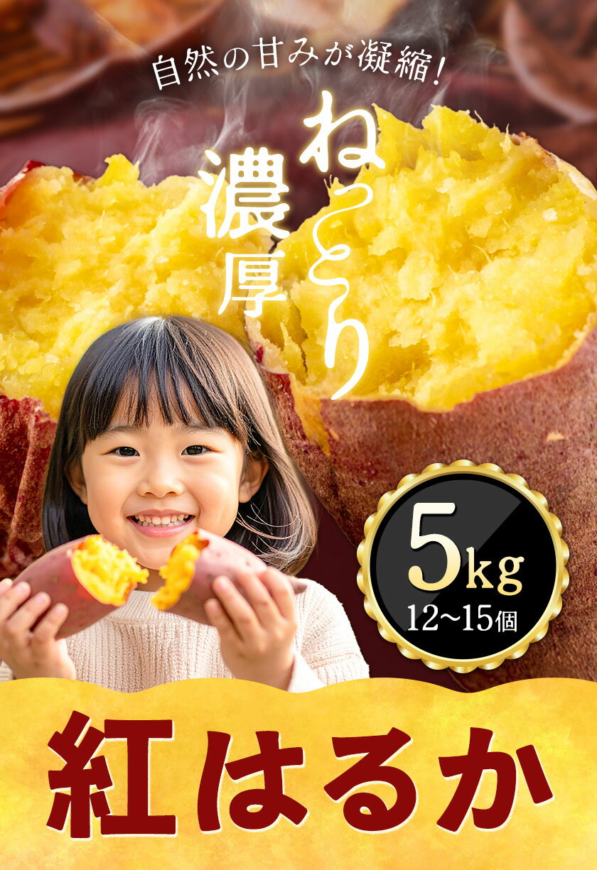 【ふるさと納税】【数量限定】さつまいも 紅はるか 芋 5kg (12-15個) 合同会社 中ちゃん農園《30日以内に出荷予定(土日祝除く) 》広島県 神石高原町 送料無料 野菜 いも サツマイモ べにはるか お取り寄せ