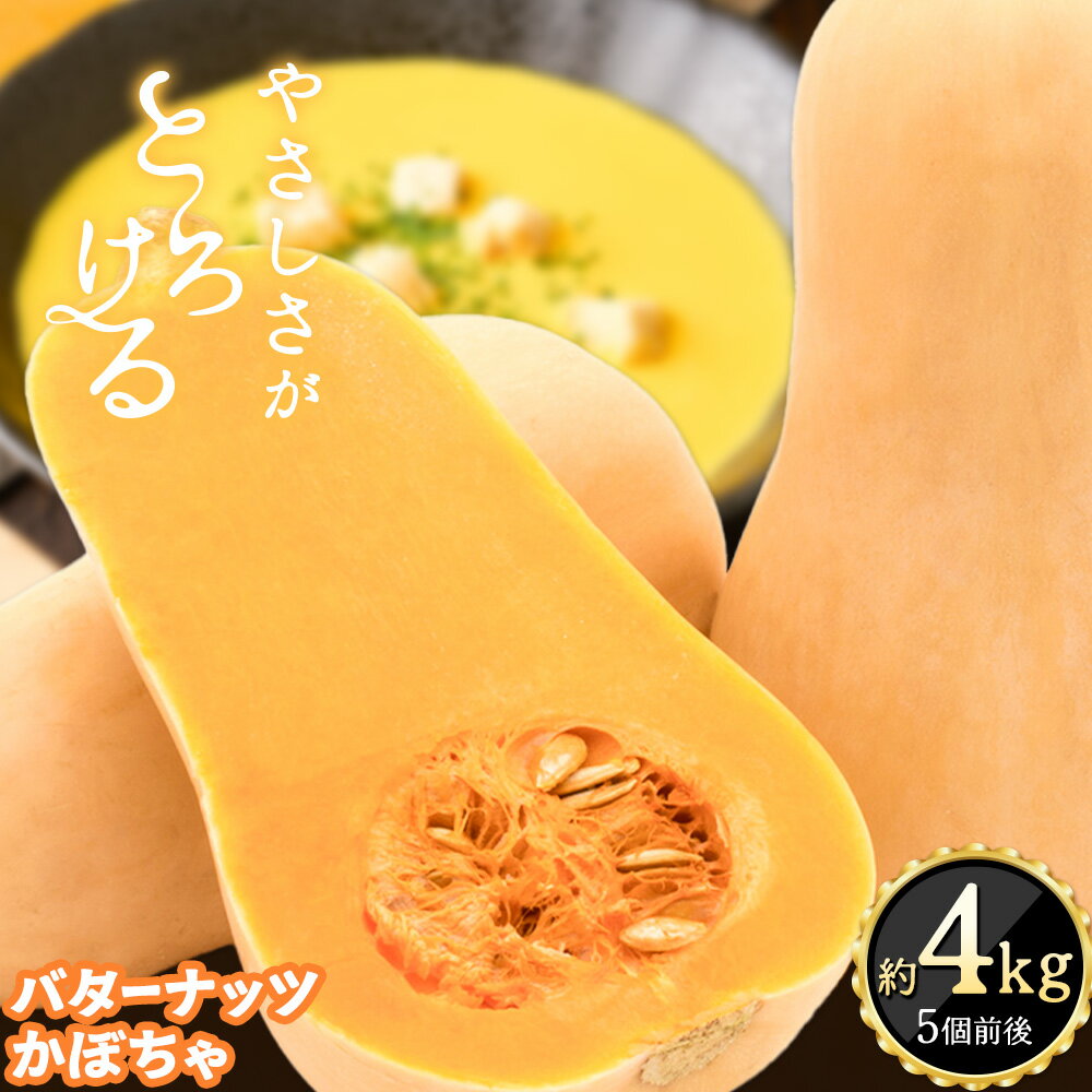 【ふるさと納税】【数量限定】かぼちゃ バターナッツ バターナッツかぼちゃ 約4kg (5個前後入り) 合同会社 中ちゃん農園《30日以内に出..
