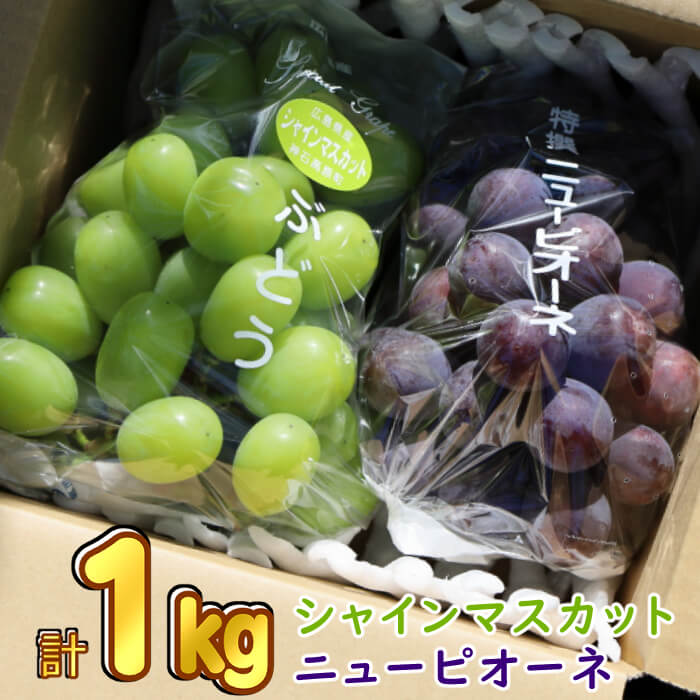 【ふるさと納税】ニューピオーネ＆シャインマスカット合計1kg 送料無料/種無し/広島県神石高原町産/産地直送/訳ありのサムネイル