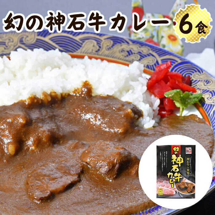 楽天ふるさと納税　【ふるさと納税】幻の神石牛カレー 6食セット 送料無料 レトルト 広島県 神石高原町 ご当地カレー ブランド牛 黒毛和牛