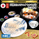 8位! 口コミ数「0件」評価「0」 下関 ふぐ ふぐ刺し セット 4人前 冷蔵 白子付き 国産 天然 とらふぐ ふく とらふく 刺身 鍋 ヒレ酒付き てっさ てっちり ひれ酒･･･ 