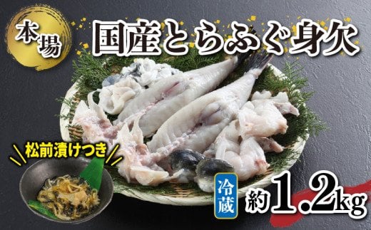 ふぐ 身欠 約1.1〜1.3kg 国産 とらふぐ 松前漬 付き 鍋 [1月以降発送 ]