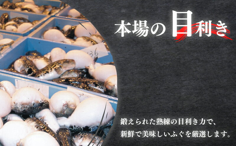 【ふるさと納税】 下関 ふぐ 約1.1〜1.3kg 国産 とらふぐ とらふく ふく 刺し プレゼント ギフト 松前漬 付き 鍋 年末 年始 贈り物 母の日 父の日 3