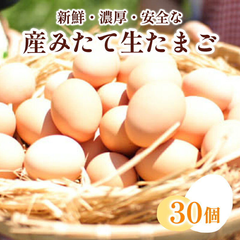【ふるさと納税】 たまご 卵 30個 ( 26個 ＋ 割れ保障 4個 ) 産みたて 生たまご 新鮮 鮮度 抜群 下関 豊北 養鶏場 人気 返礼品 6000円 山口 ごはんのお供のサムネイル