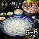  ふぐ 国産 天然 プレミアムセット 5~6人前 刺身 200g 冷凍 とらふぐ ふく 高級魚 ふぐ刺し フグ刺し ふぐ鍋 皮 てっさ てっちり 記念 お祝い 下関 山口 数量 限定 日指定可 ふぐちり鍋 海鮮鍋 鍋セット 冬 旬 高級魚 フグ 年末 年内 正月母の日 父の日