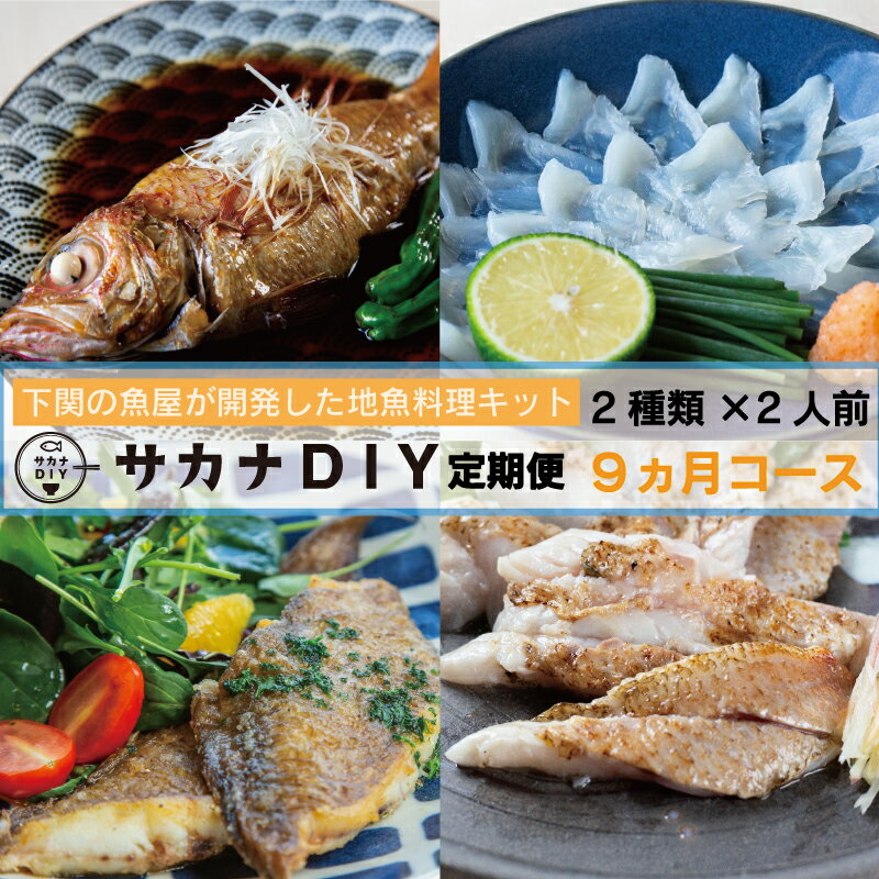 定期便 お楽しみ 9回 鮮魚 刺身 煮魚 揚物 冷凍 真空 小分け サカナ DIY 料理 ミール キット 2人前 2種 9ヶ月 計 18食 カンタン 調理 地魚 下関 山口 海鮮 簡単調理 お魚 料理 夕食 おかず 惣菜 お手軽 お刺し身