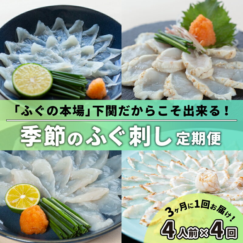 魚介類・水産加工品(フグ)人気ランク24位　口コミ数「5件」評価「4.8」「【ふるさと納税】 定期便 お楽しみ 4回 4人前 ふぐ 河豚 刺身 ふぐ刺し ふく 冷凍 3ヶ月 に 1回 お届け 季節 時期 旬 春 夏 秋 冬 とらふぐ まふぐ ひがんふぐ しろさばふぐ 刺身 たたき 炙り刺し ふぐポン酢 もみじおろし」