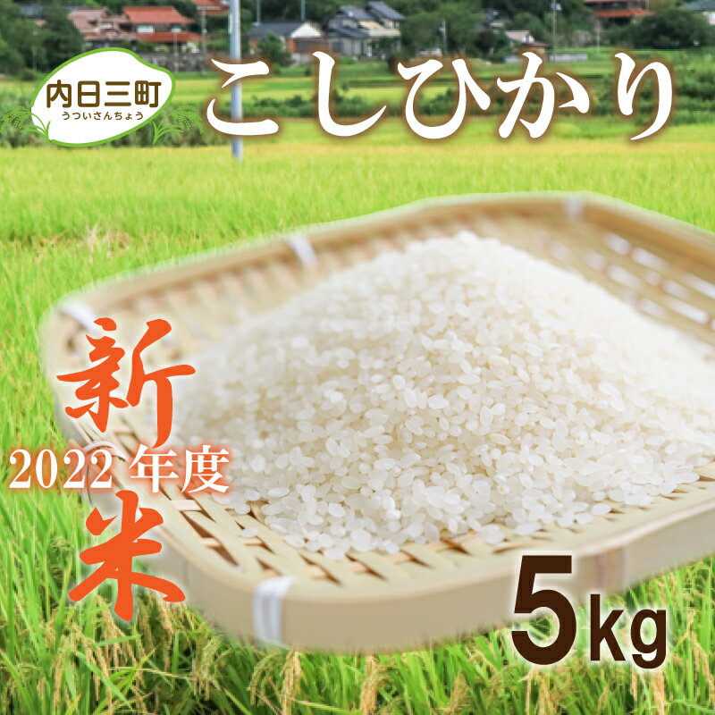 【ふるさと納税】 新米 山口 県産 コシヒカリ 米5kg 2022 年度 無洗米 特別栽培エコ50