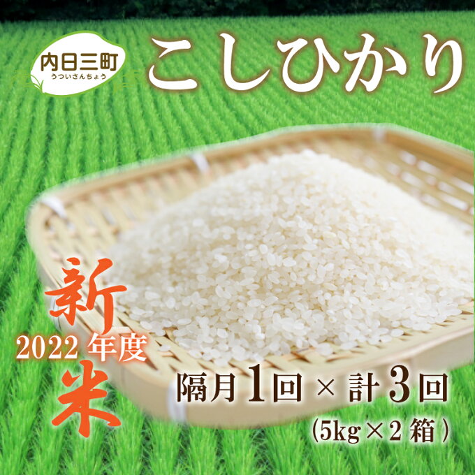 【ふるさと納税】 定期便 新米 山口 県産 コシヒカリ 米 5kg × 2箱 202...