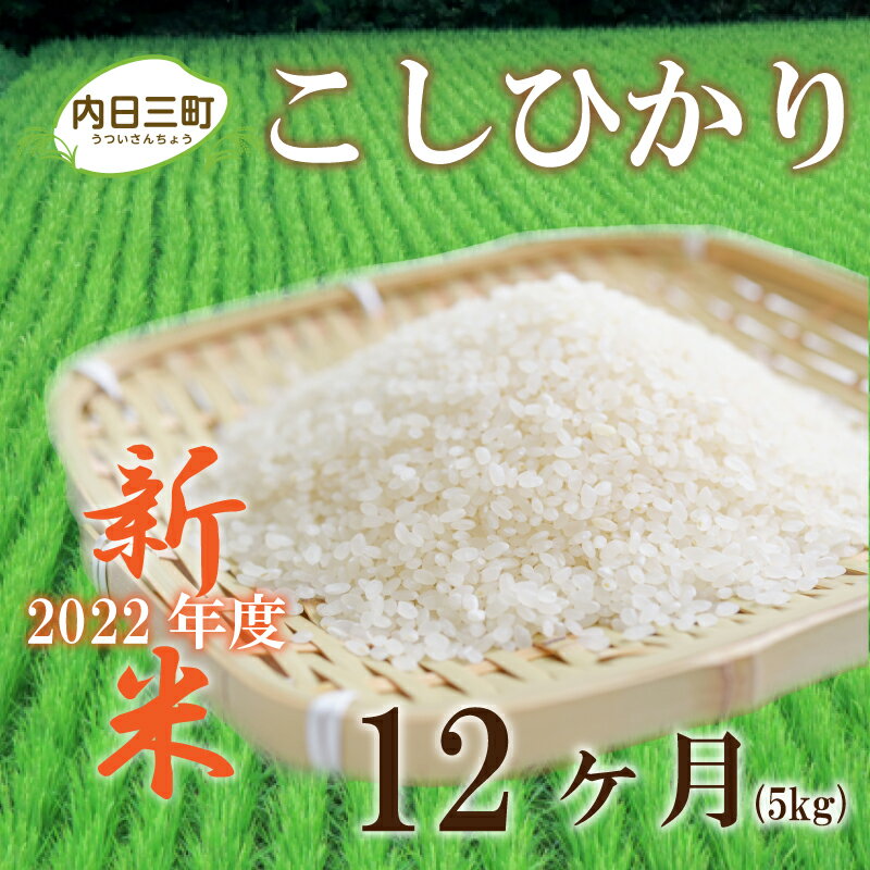 【ふるさと納税】 定期便 新米 山口 県産 コシヒカリ 米 5kg 2022 年度 ...