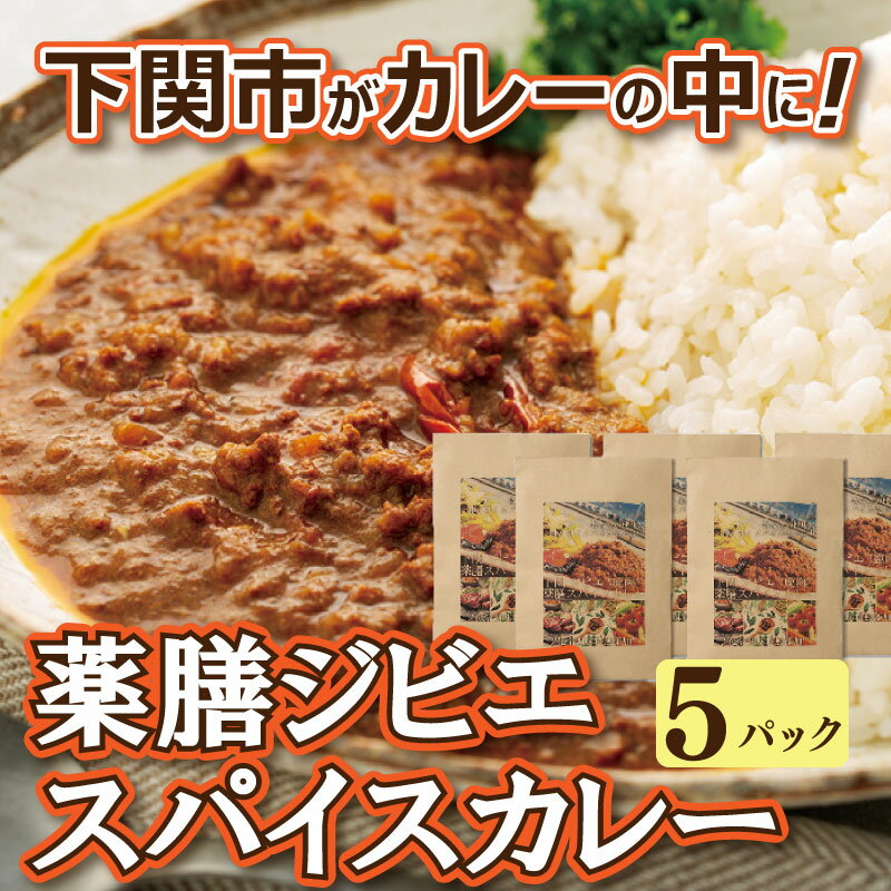 薬膳 ジビエ スパイス カレー 下関産 鹿肉 170g × 5袋 お取り寄せ ごはんのお供 シカ 無添加 低脂肪 高タンパク 下関市 山口 肉特集