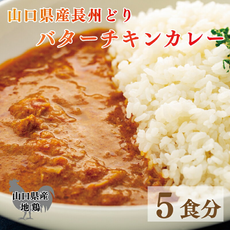 長州どり バターチキン カレー 山口県産 鶏肉 170g x 5袋 お取り寄せ ごはんのお供 国産 長州 鶏 無添加 抗生物質 不使用 下関市 山口 肉特集