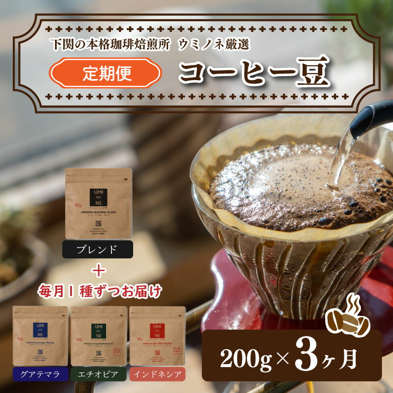 20位! 口コミ数「0件」評価「0」 コーヒー 豆 定期便 200g 3回 ブレンド グアテマラ インドネシア エチオピア 新鮮 ギフト 下関市 山口